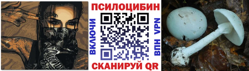 Купить закладки  Спасск-Рязанский  Псилоцибиновые грибы Psilocybine cubensis 